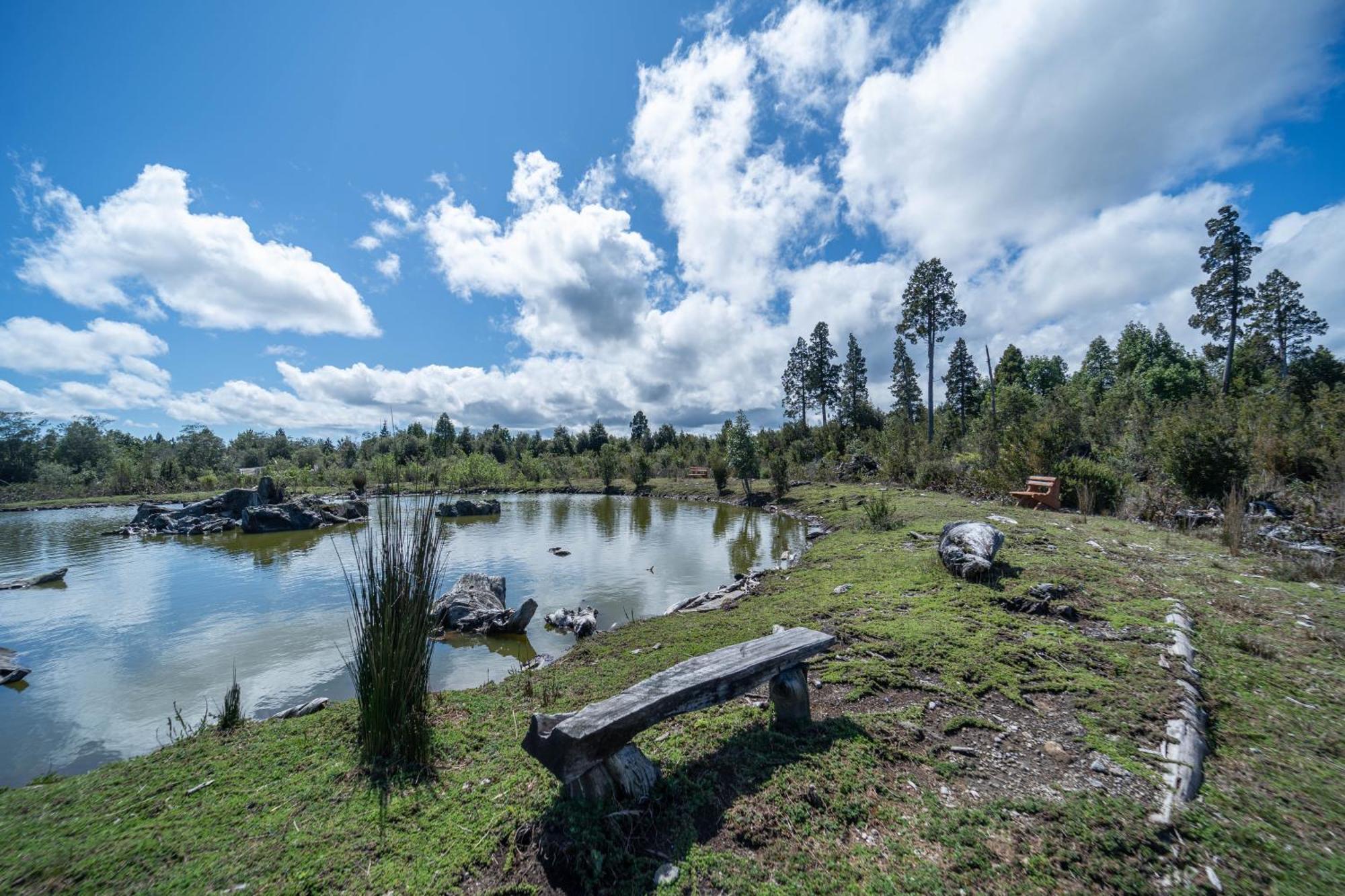 Отель Parque La Pajarera Пуэрто-Варас Экстерьер фото